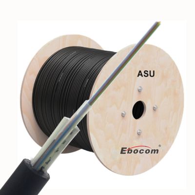 Cavo ASU Monomodale G652D 80m Campata Cavo in Fibra Ottica a 12 Fibre
